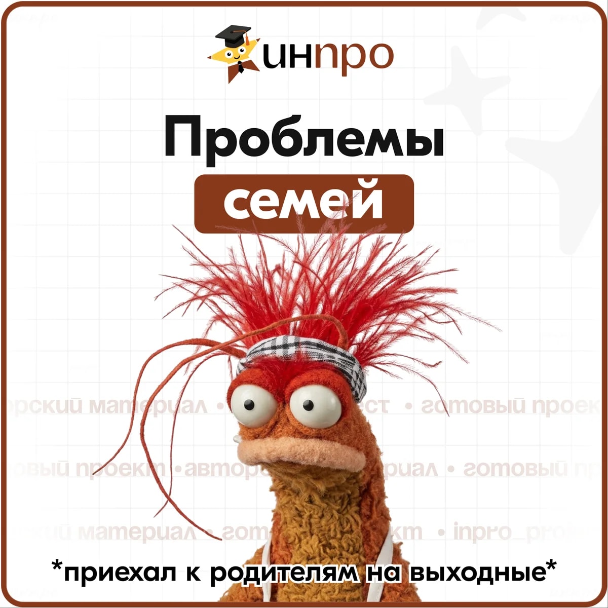 Обложка готового индивидуального проекта «Проблемы современных семей»