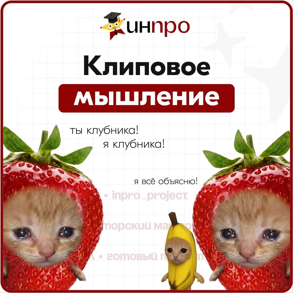 Обложка готового индивидуального проекта «Клиповое мышление как особенность современности»